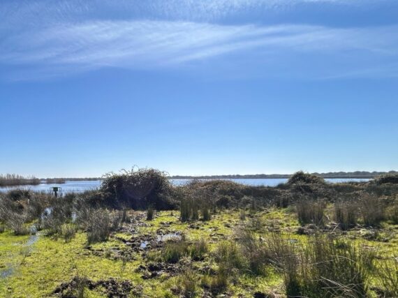 Fotografía ilustrativa del artículo