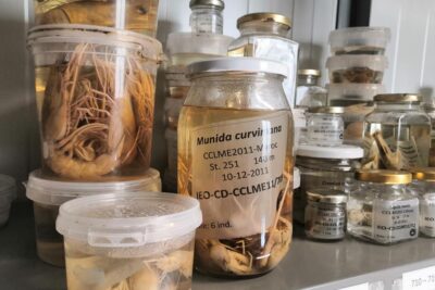 Fotografía ilustrativa del evento