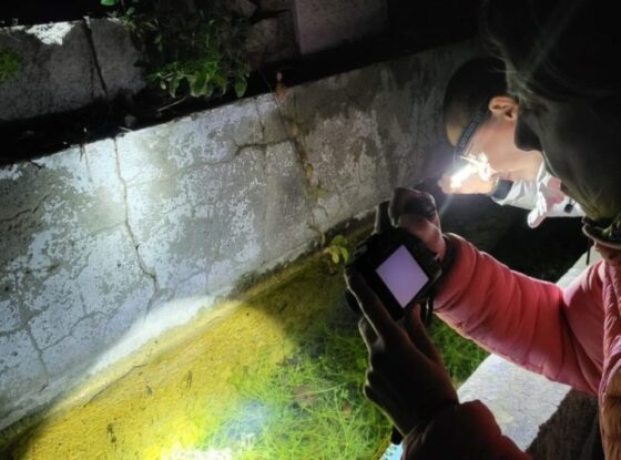 Fotografía ilustrativa del evento