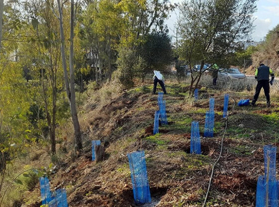 Fotografía ilustrativa del evento