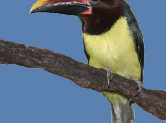 Fotografía ilustrativa del evento