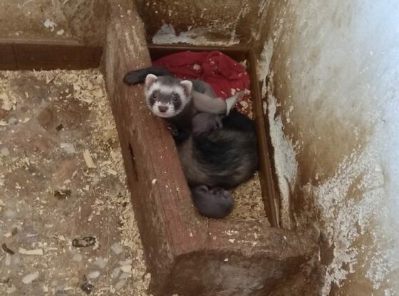 Fotografía ilustrativa del evento