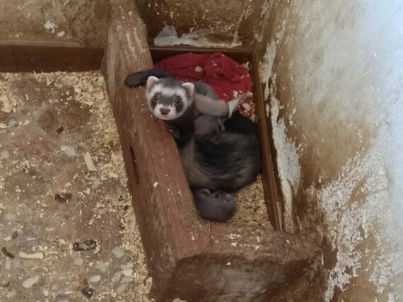 Fotografía ilustrativa del artículo