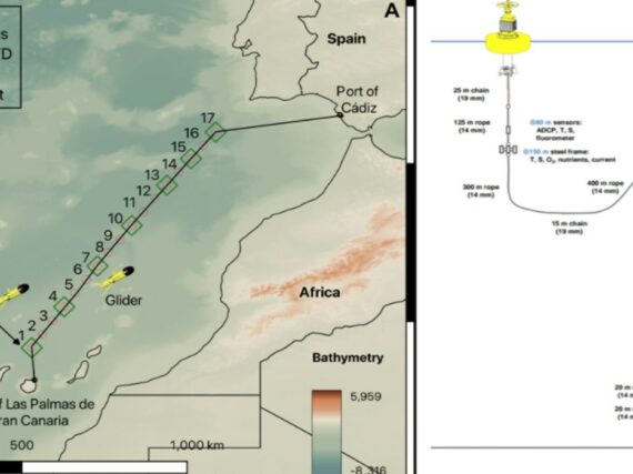 Fotografía ilustrativa del artículo