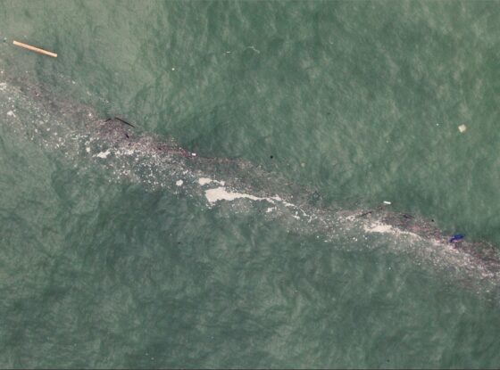 Fotografía ilustrativa del evento