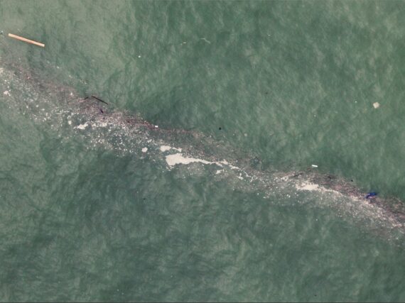 Fotografía ilustrativa del artículo