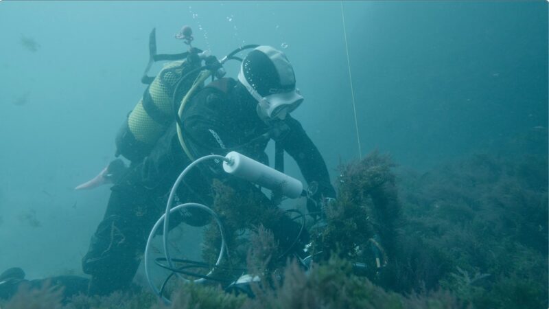 Instalación de los sistemas de monitorización acústica pasiva