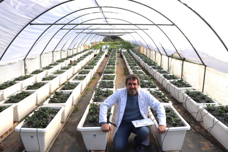 Antonio Santos Rufo, investigador del Departamento de Ciencias Agroforestales, en el Área de Producción Vegetal.